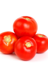 Tomatoes on White