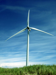 Fototapeta premium Windkraftanlage