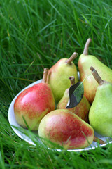 Pears on grass