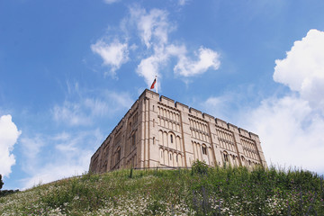 Norwich castle