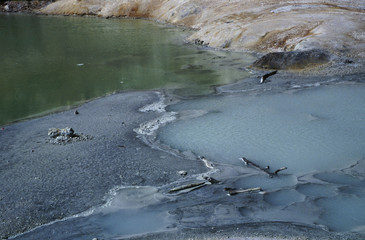 Bumpass Hell au Mont Lassen (Lassen Peak)