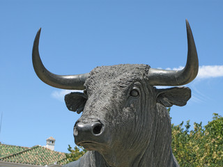taureau