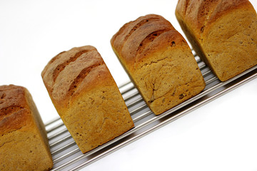 Biobrot