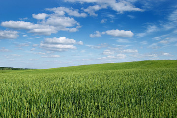 Landscape a field of a cloud