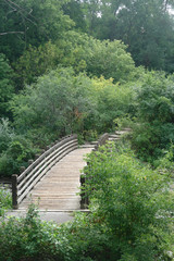 Fototapeta na wymiar Footbridge surrounded by greenery