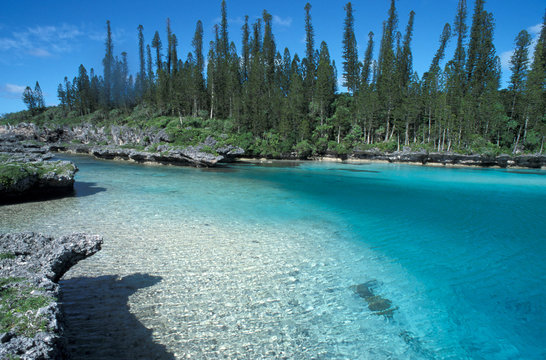 Voyage en Nouvelle Cal&eacute;donie