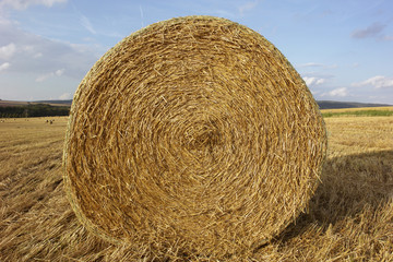 Strohballen