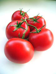 tomate grappe