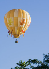 Hot Air Balloon 0742