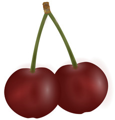 Deux cerises SVG