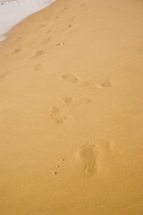 Fototapeta na wymiar Feet trace in sand