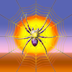 Obraz premium 04araña virtual