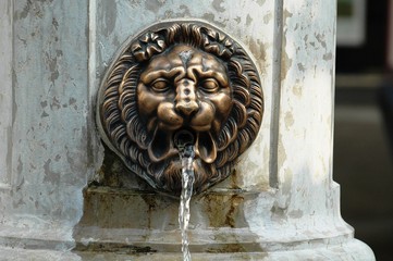 Fontaine au lion