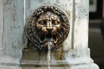 Printed kitchen splashbacks Fountain Fontaine au lion