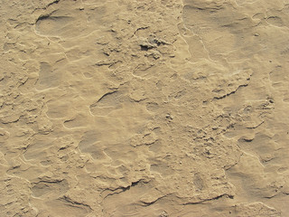 dry brown sand texture