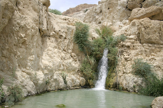 desert oasis in the dead sea region