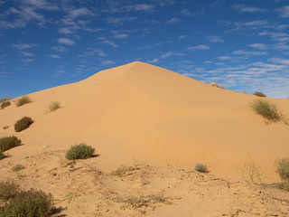 Fototapeta na wymiar Sand Dune 174