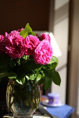 Flowers in the window