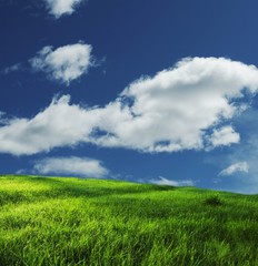 Grassland and sky