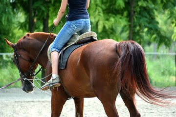 Obraz premium riding