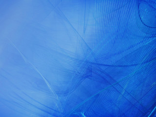 Abstract Blue Swirls