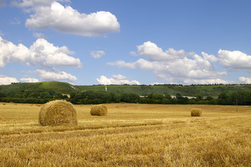 Hay Bales Near Chiltern Hills