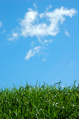 Green field and a blue sky with clouds