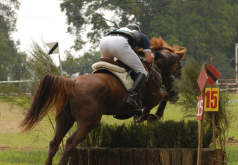 cheval et son cavalier sur un cross de CCE
