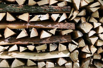 Holzscheite