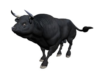 Bull