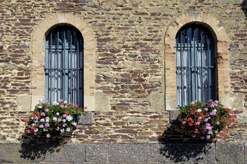 Fototapeta na wymiar fenêtres fleuries