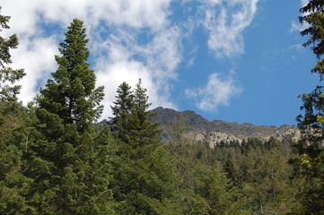 Montagne et quietude