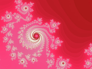 the rosa-flower - fractal background