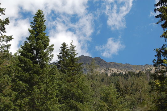 Montagne et quietude