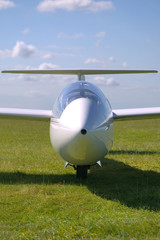 Glider portrait