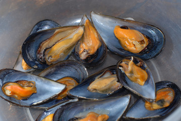 moules cuites