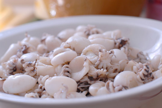 calamars
