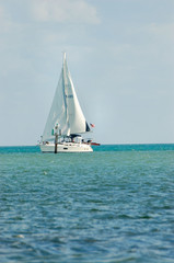 Fototapeta na wymiar florida sailing
