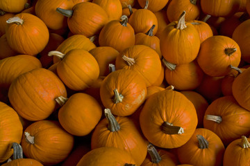 Pumkins