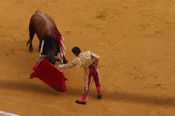 Cercles muraux Tauromachie Corrida