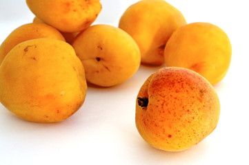 abricots