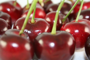 cherries white background