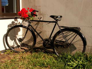 Fototapeta na wymiar Rośliny drzwi rowerowe