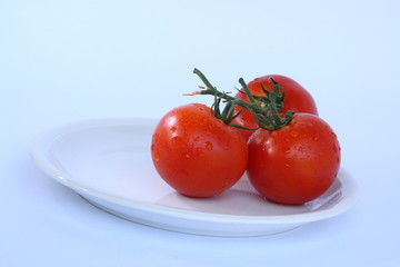 wet tomatos