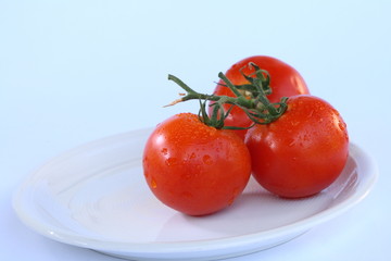 Three tomatos on a white plate