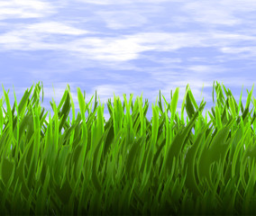 green grass