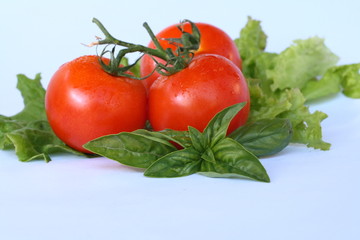 basil with tomatos and salad