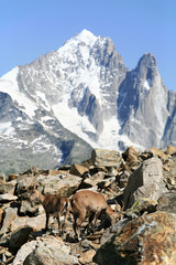 Paysage de montagne et glacier