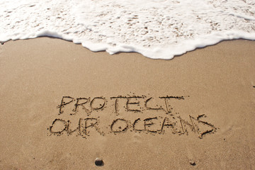 Fototapeta na wymiar Ochrony naszych oceanów