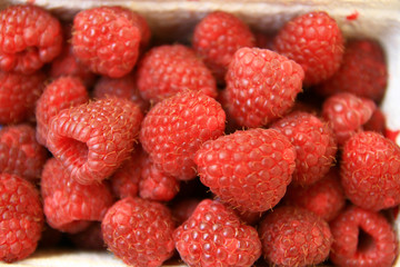 sweet red raspberries in box